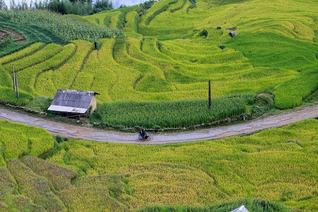 Ngắm cảnh sắc ‘thiên đường’ ruộng bậc thang hùng vĩ ở Y Tý Lào Cai 9