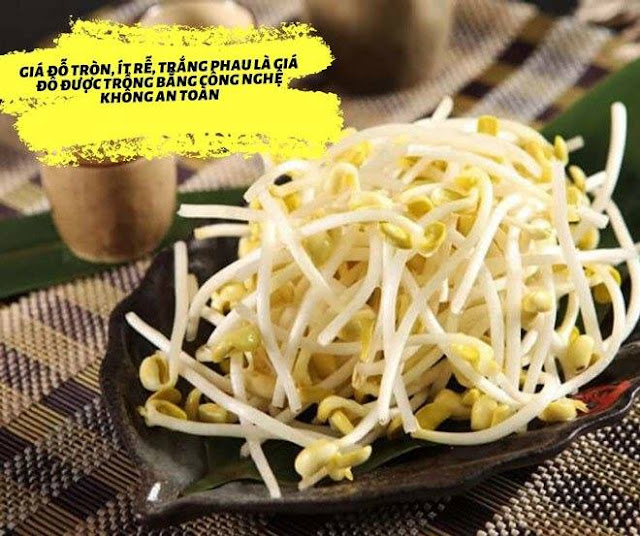 Mách mẹ mẹo chọn rau sạch để đảm bảo sức khỏe cho gia đình mình