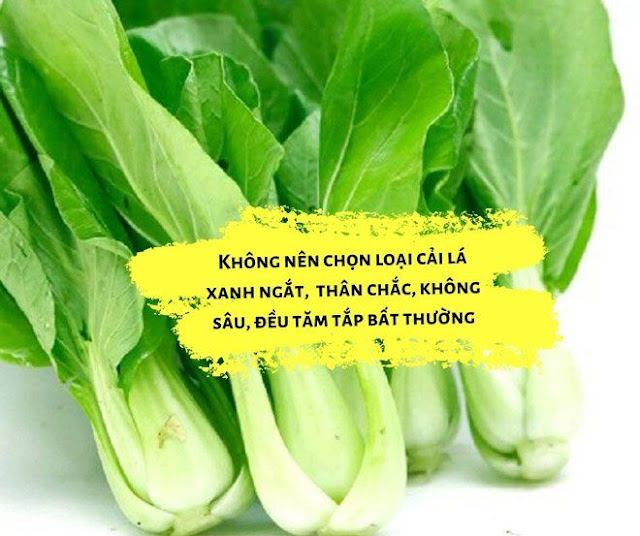 Mách mẹ mẹo chọn rau sạch để đảm bảo sức khỏe cho gia đình mình