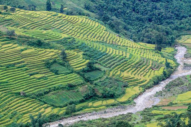 Ngắm cảnh sắc ‘thiên đường’ ruộng bậc thang hùng vĩ ở Y Tý Lào Cai 11