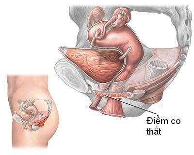 Bài tập Kegel