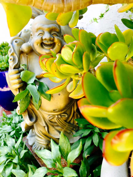 Không ai nghĩ những biệt thự lộng lẫy ở nước ngoài này là của sao Việt