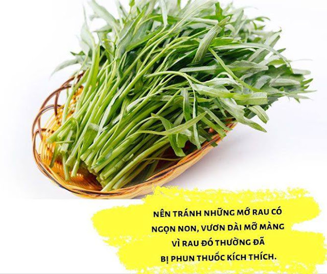 Mách mẹ mẹo chọn rau sạch để đảm bảo sức khỏe cho gia đình mình
