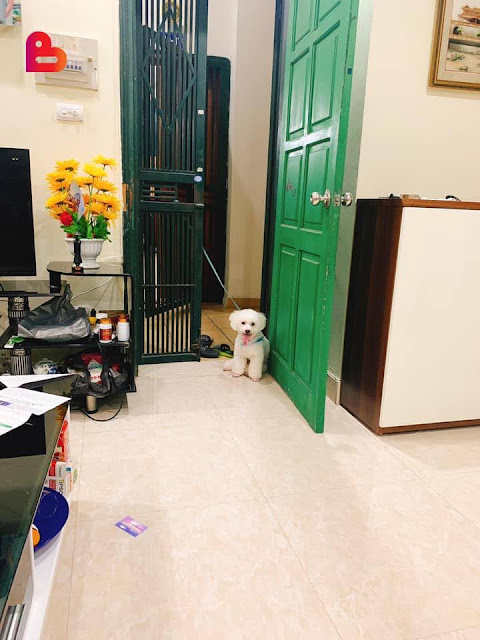 Đưa con về nhà ngoại chơi mà mẹ chồng chưa đồng ý thì là đúng hay sai?