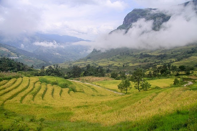 Ngắm cảnh sắc ‘thiên đường’ ruộng bậc thang hùng vĩ ở Y Tý Lào Cai