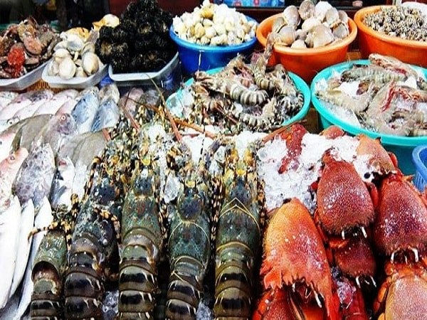 Thủy hải sản nhập khẩu rớt giá, vì sao? Thủy hải sản nhập khẩu rớt giá, vì sao?