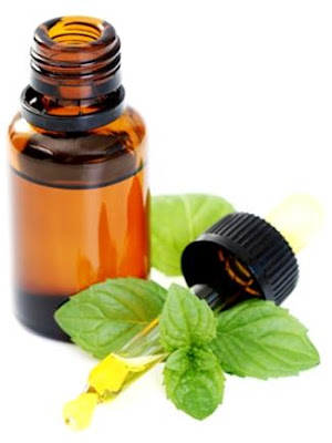 Vài mẹo vặt chữa bệnh mùa hè bằng thảo dược - 4