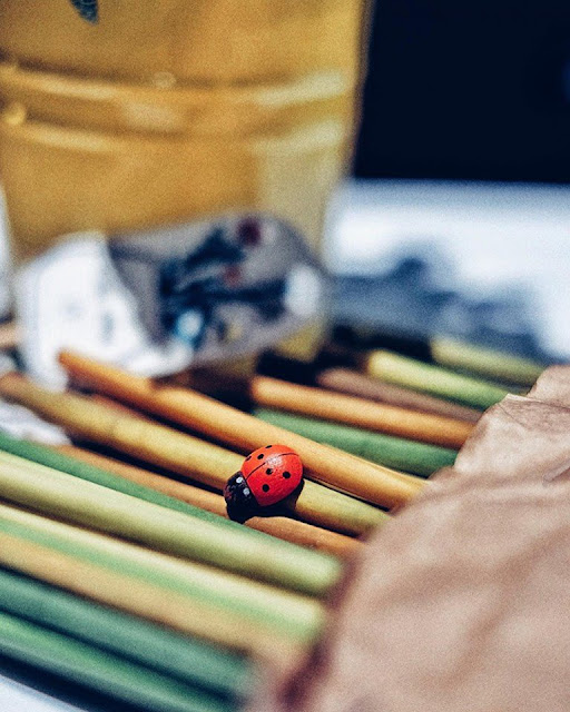 Hàng loạt quán cafe từ bỏ ống hút nhựa để đổi sang ống hút cỏ, ống hút tre 1