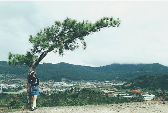 Đồi Thiên Phúc Đức Đà Lạt