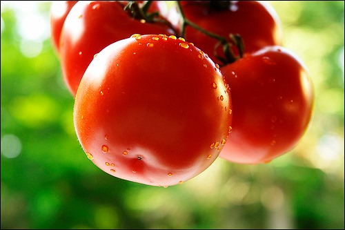 Bạn có biết “ăn gì cho đẹp da” không?