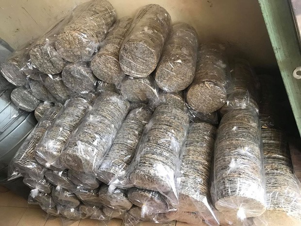Cô gái xinh đẹp chết thảm ở tuổi 21 tuổi do nổ nồi hơi bánh đa khiến bạn bè xót xa