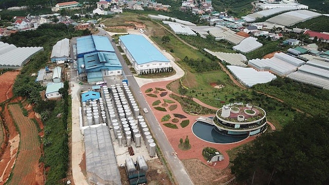 Khám phá hầm vang đỏ chuẩn Châu Âu ở Đà Lạt 1
