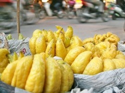 Bài thuốc chữa ho, long đờm từ quả phật thủ Bài thuốc chữa ho, long đờm từ quả phật thủ