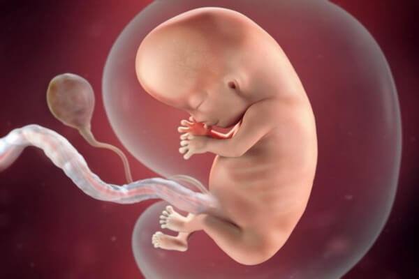 Mẹ nên ăn gì để tăng nước ối, không lúc nào lo bị cạn?