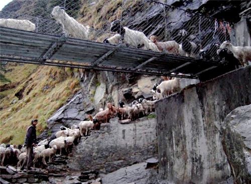 10 cây cầu treo sợ nhất thế giới 9