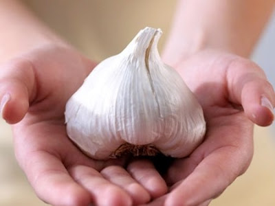 Vài mẹo vặt chữa bệnh mùa hè bằng thảo dược - 3
