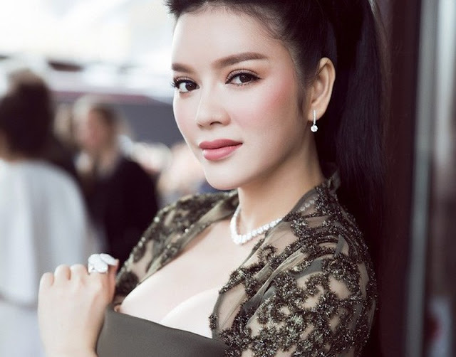 Công ty riêng năm nào cũng lỗ, Lý Nhã Kỳ kinh doanh gì mà sở hữu khối tài sản đồ sộ đến vậy? 7