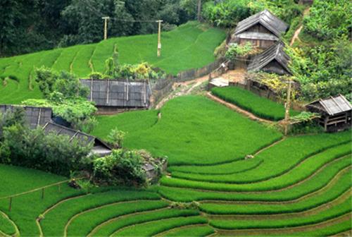 Những phong tục lạ ở mạn thượng du Bắc Việt