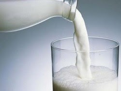 Uống sữa lừa giúp giảm cân? Uống sữa lừa giúp giảm cân?
