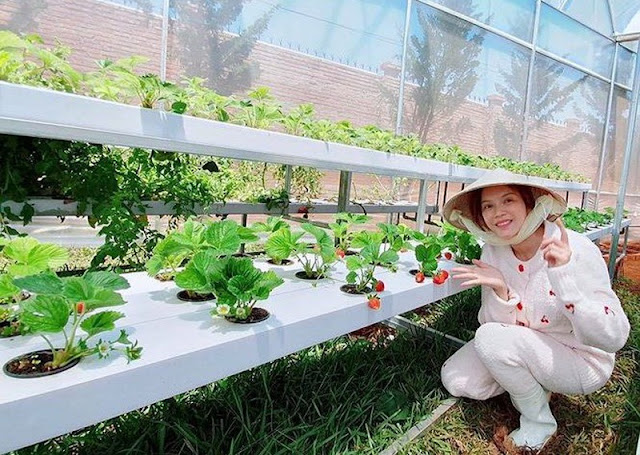 Công ty riêng năm nào cũng lỗ, Lý Nhã Kỳ kinh doanh gì mà sở hữu khối tài sản đồ sộ đến vậy? 10
