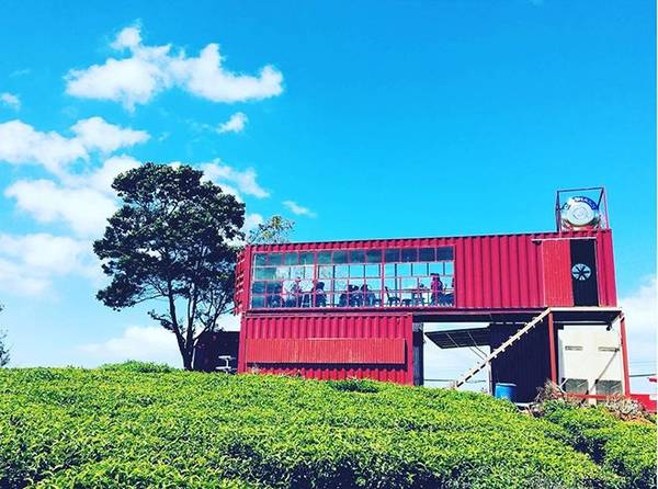 Quán cà phê container ở đồi chè Cầu Đất