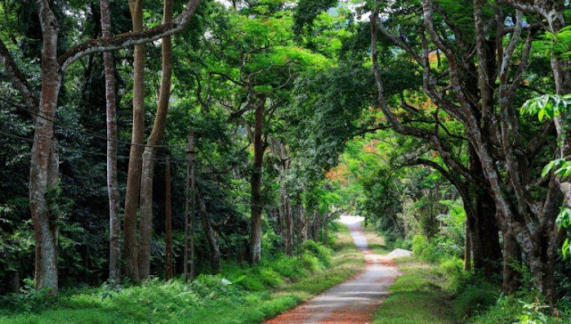 Vườn Quốc Gia Cúc Phương Ninh Bình