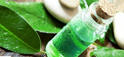 Trị khỏi viêm nang lông với nguyên liệu rẻ tiền mà hiệu quả