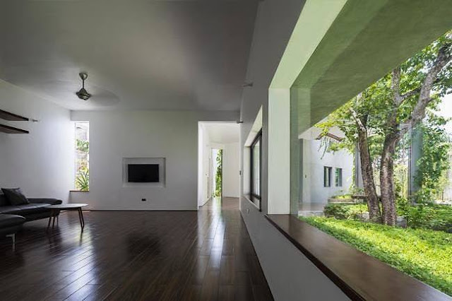 Ngôi nhà tuyệt đẹp, siêu độc đáo 'nuốt' trọn 5 cây gỗ quý ở Nghệ An lên báo Tây 4