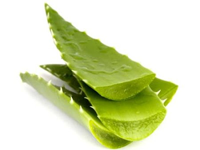 Vài mẹo vặt chữa bệnh mùa hè bằng thảo dược - 2