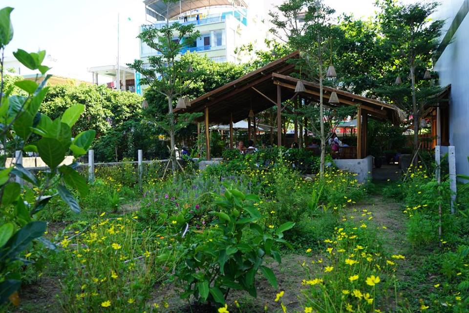 Khách Sạn Seasing Boutique