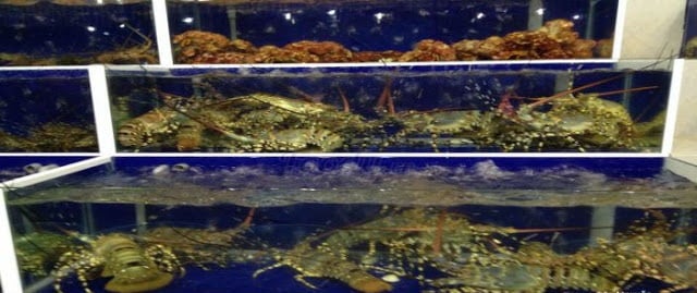 Quán nhậu Hải Sản Bé Mặn - Đà Nẵng